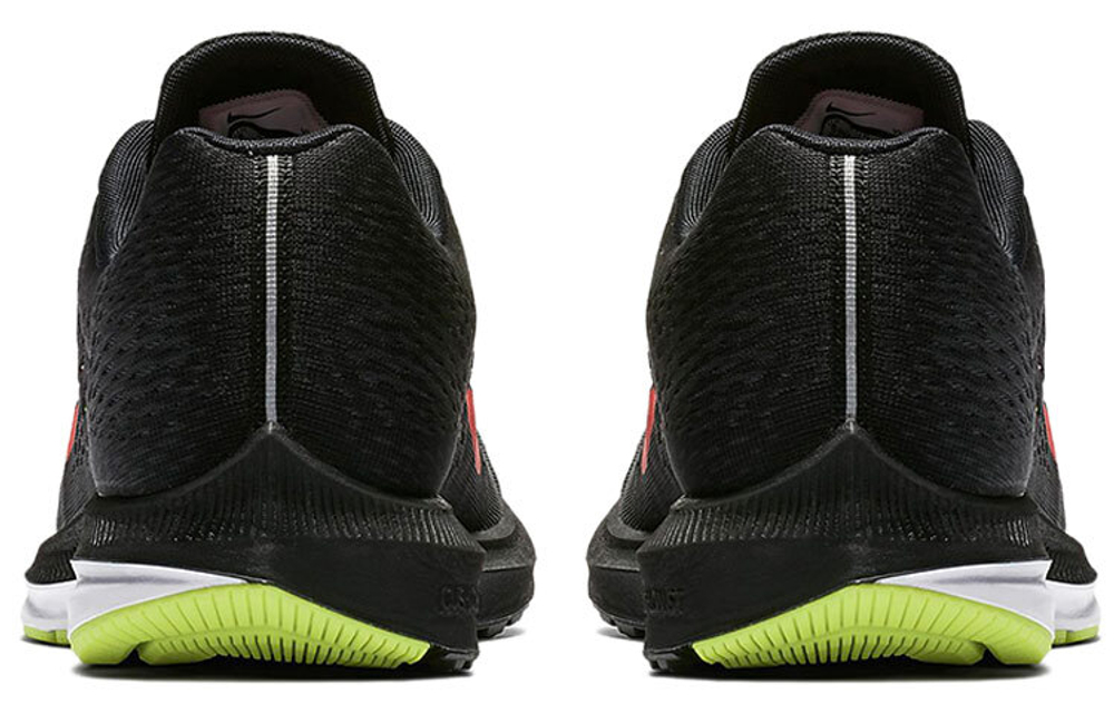Кроссовки Nike Zoom Winflo 5