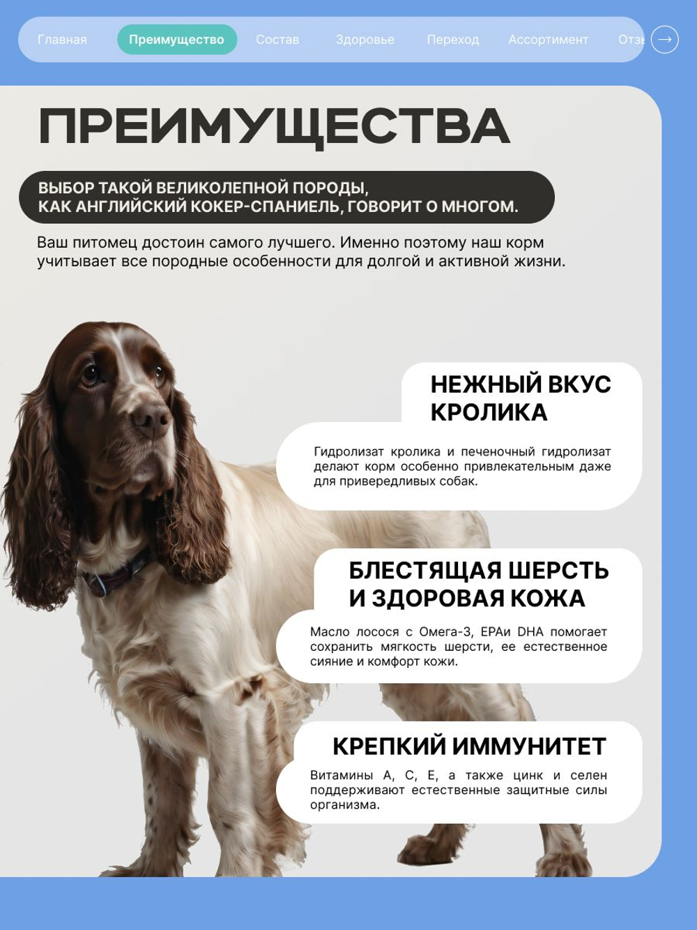 Корм для взрослых собак породы Английский кокер-спаниель, с кроликом, 3 кг, QUATTRO