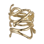 Кольцо ветки