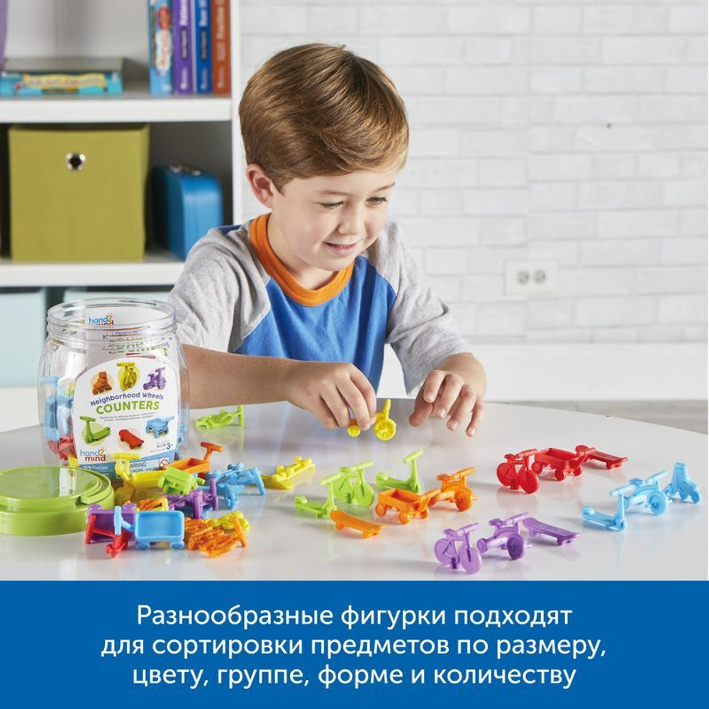 MS0082 Комплект «Сортировка и счёт»