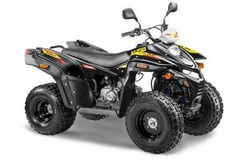 Квадроцикл СТЕЛС ATV 110A HUGO