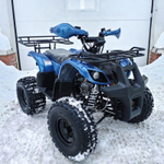 Квадроцикл MOTOLAND 125 Fox A