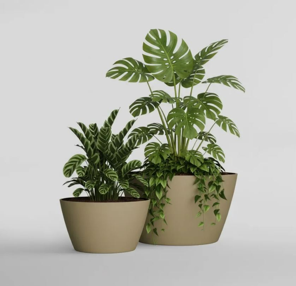 Кашпо, коллекция КОЛОР, форма БОУЛ