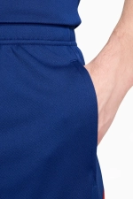 Шорты Nike Netherlands 2024 Strike