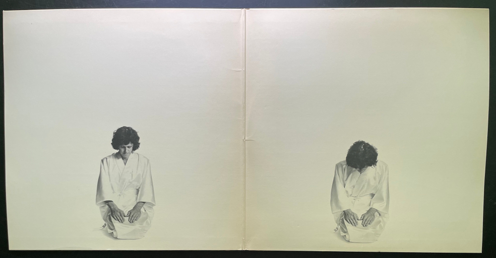 Donovan ‎– Essence To Essence (Англия 1973г.)