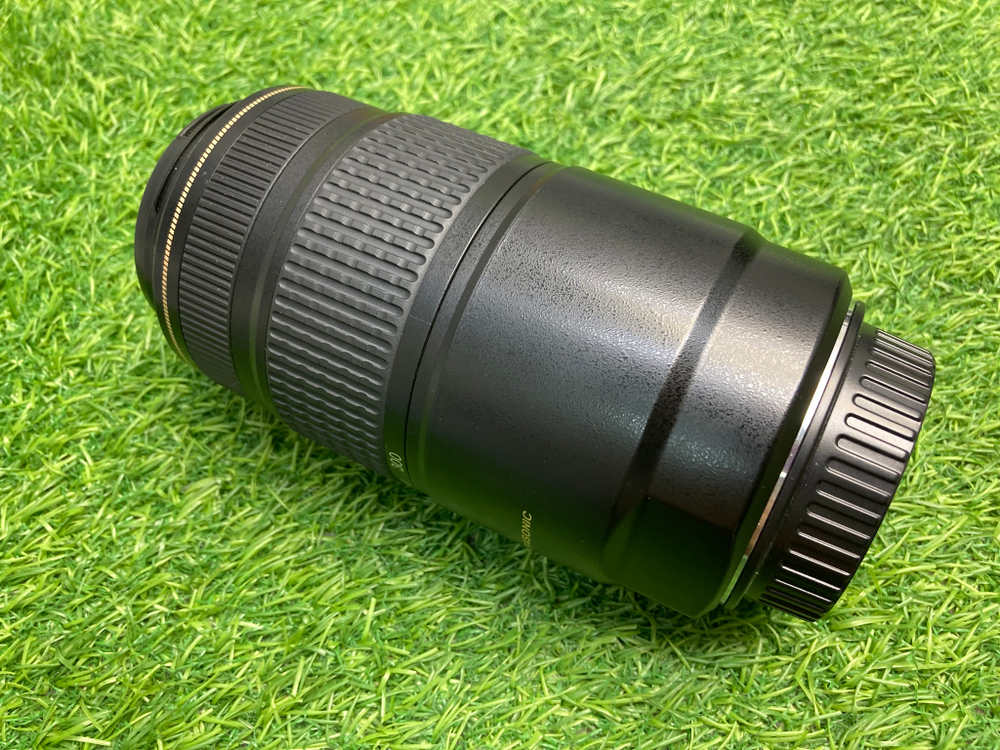 Canon EF 75-300mm 4-5.6 IS