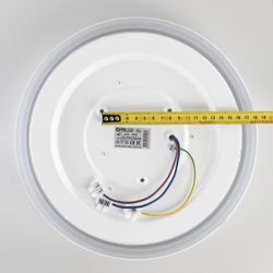 Citilux BOSS CL751250G LED RGB Светильник с пультом Белый