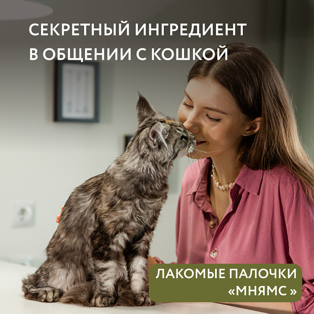 Лакомство для кошек лакомые палочки из цыпленка и утки Мнямс 3х5 г, 35 шт в упаковке