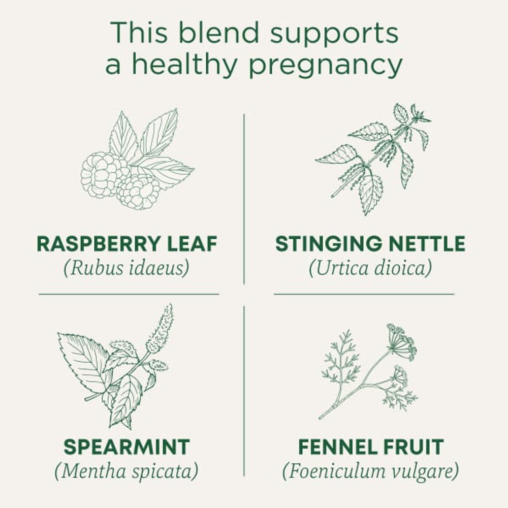 Traditional Medicinals, органический чай Pregnancy®, листья малины, без кофеина, 16 чайных пакетиков, 28 г (0,99 унции)