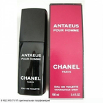 Antaeus