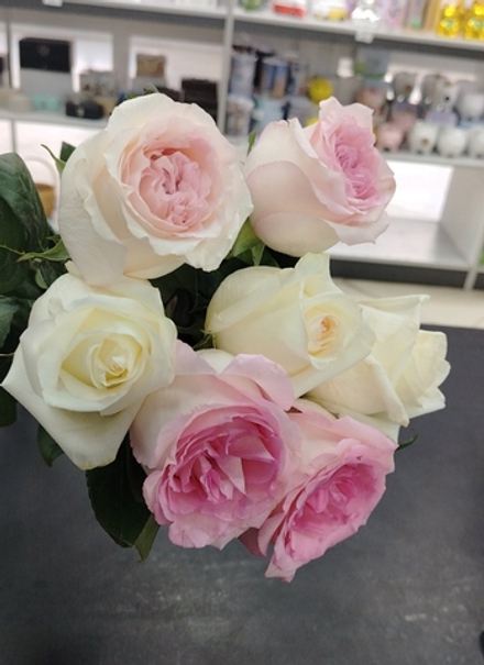 Индивидуальный заказ 30.01