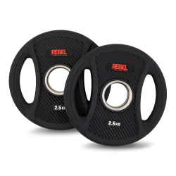 Диски олимпийские обрезиненные с двумя хватами 2,5 кг REBEL (пара)