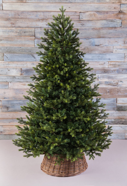 Ель 120см Black Box Датская зеленая