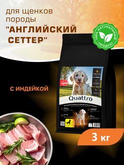 Корм сухой для щенков породы Английский сеттер, с индейкой, 3 кг, QUATTRO