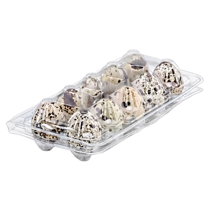 Упаковка для перепелиных яиц на 10