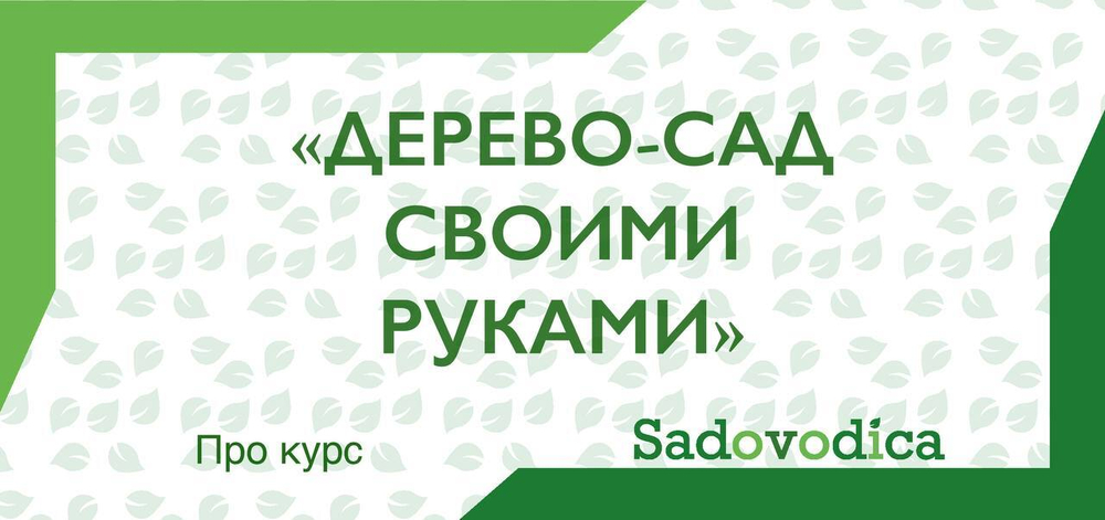Курс по прививке деревьев "Дерево-САД своими руками", Продвинутый