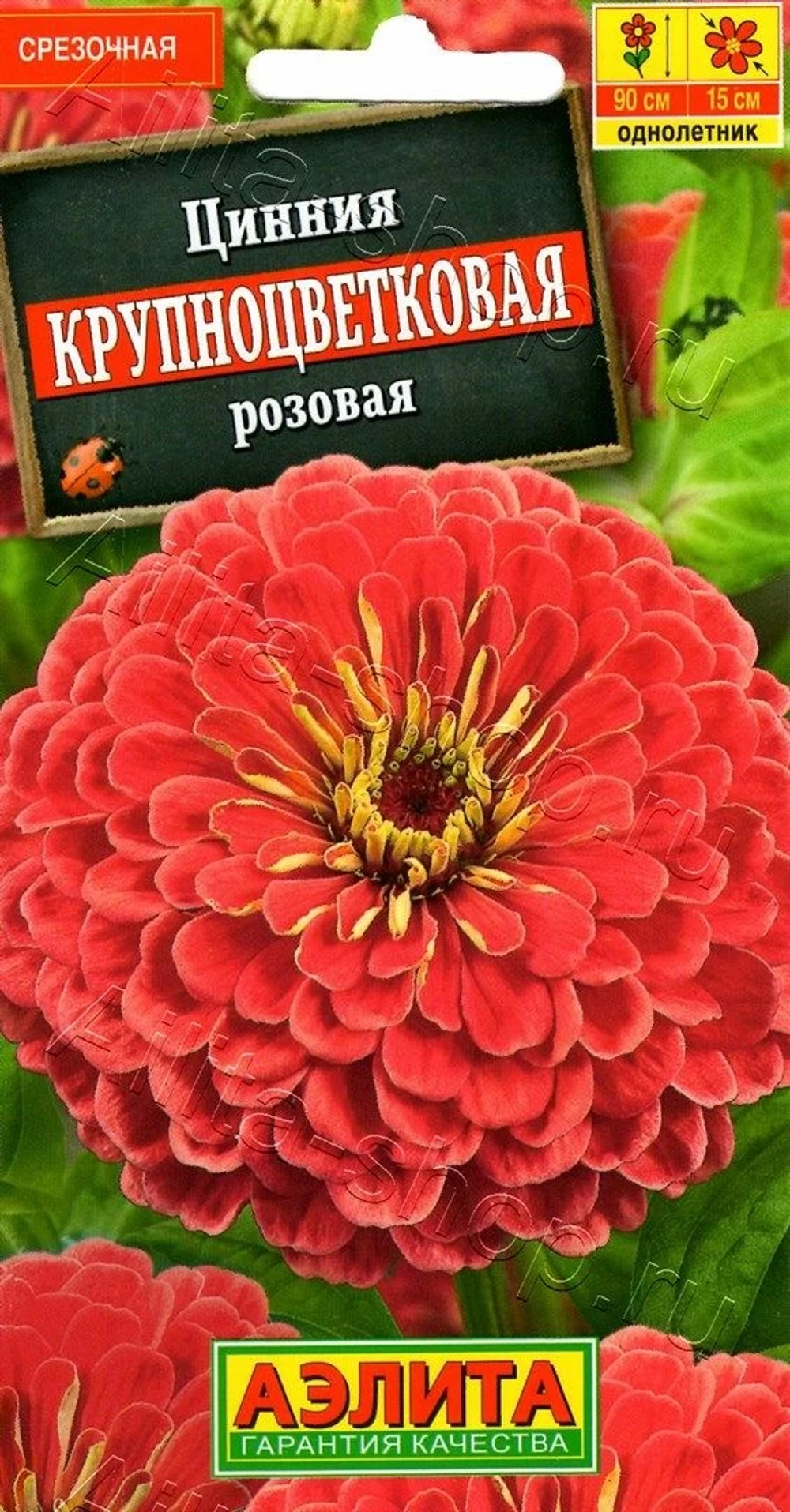 Цинния Крупноцветковая розовая 0,3г (Аэлита)