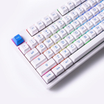 Игровая клавиатура AKKO 3098N (Blue&White/RGB/Hot-Swap/3 Modes, TTC Honey Switch)