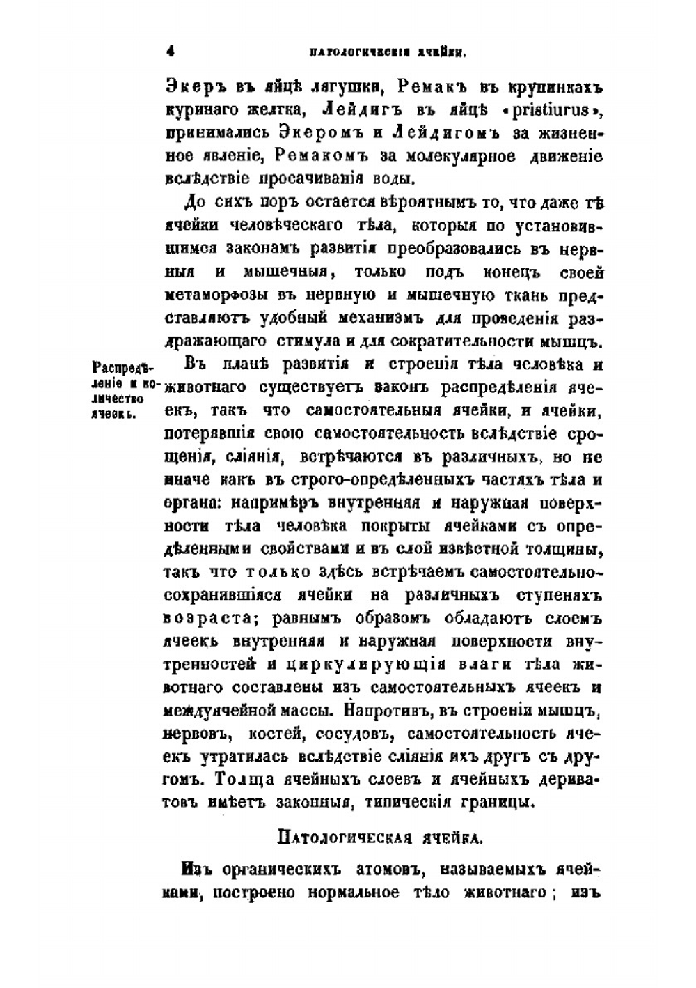 Руководство к общей патологической анатомии тканей человеческого тела | Александер Винтнер