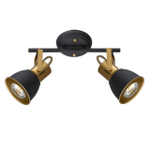 Потолочный светильник Arte Lamp JOVI A1677PL-2GO