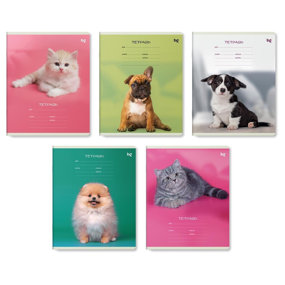 Тетрадь школьная А5 12л линия "Little animal"( BG)