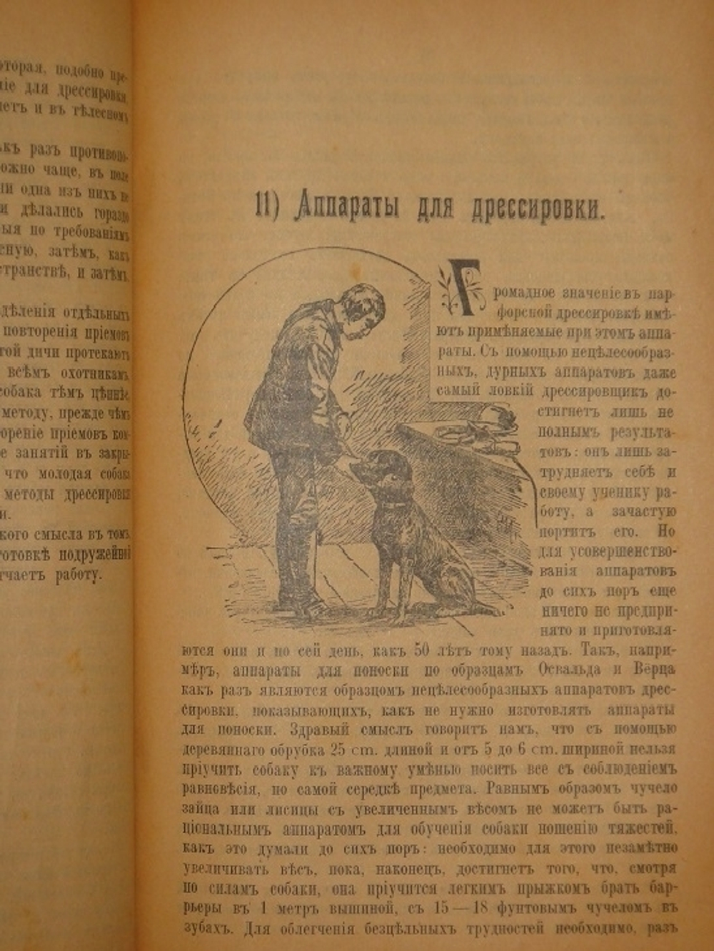 "Дрессировка и натаска подружейных собак". Г.Оберлендер. 1910г.