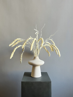 Сетария молочная