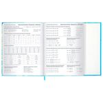 Дневник 1-11 класс 48 л., твердый, BRAUBERG, матовая ламинация, магнитный клапан, закладка-ляссе, с подсказом, "Котик", 107244