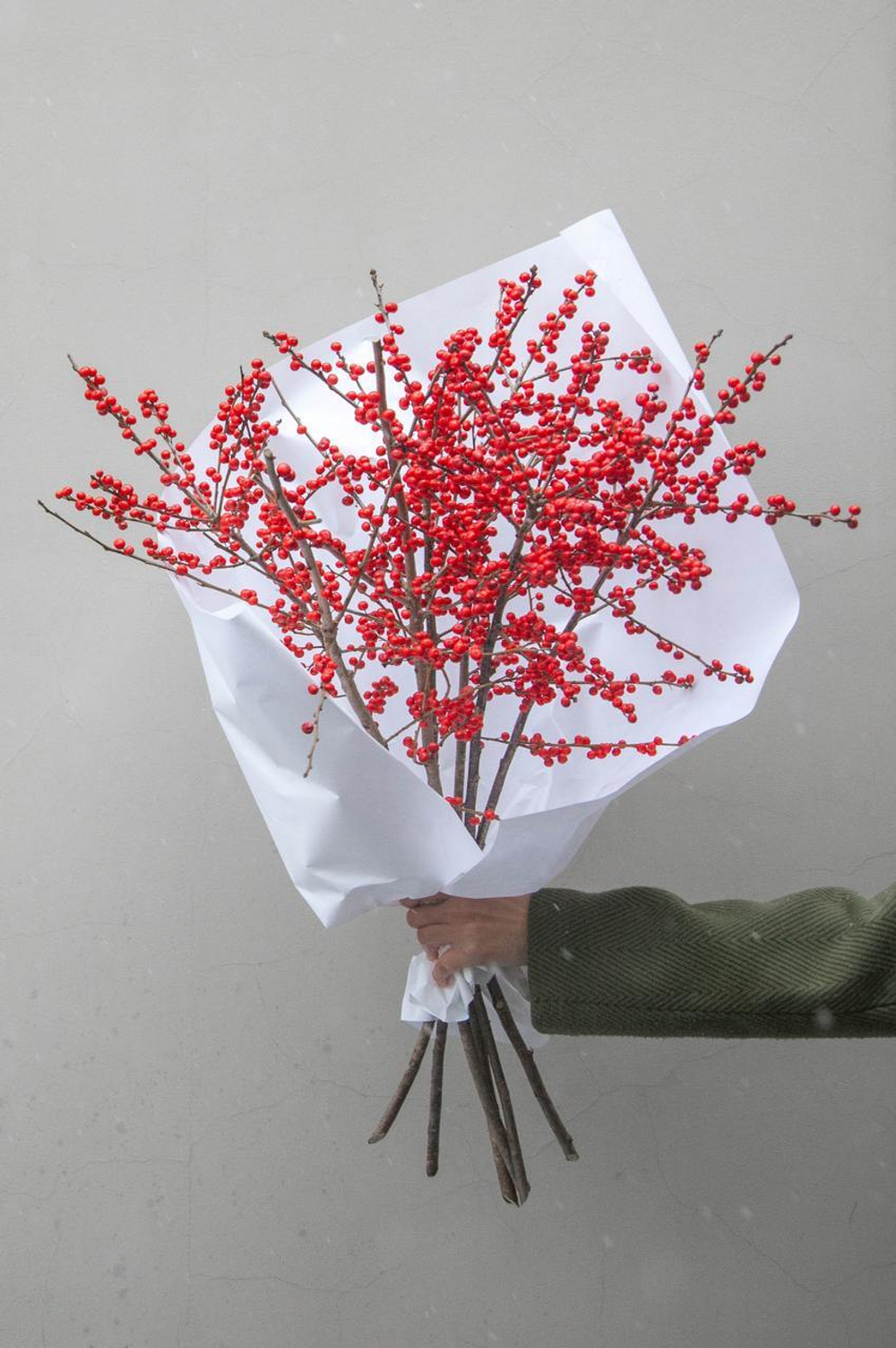 Илекс красный