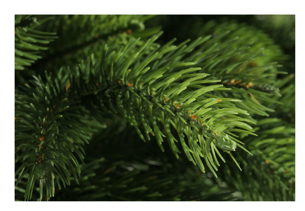 Ель искуственная Царь елка Беверли 150 см