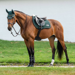 Вальтрап конкурный FAIRFIELD Hazeldene (green)