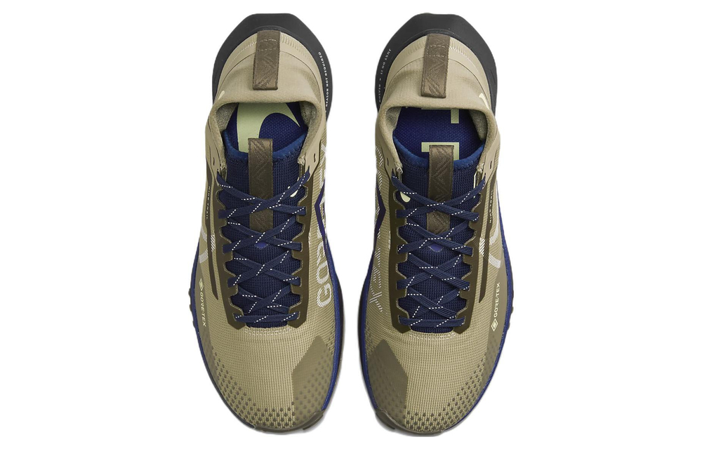 Кроссовки Nike Pegasus Trail 4 Gtx