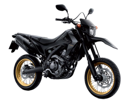 86801-KZZ-A20ZA. STRIPE, R. RR. FENDER *TYPE2*. Stripe on the tail CRF250M