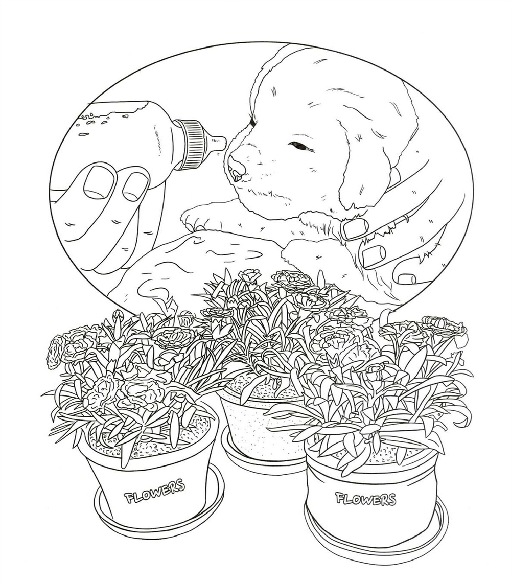 Lovely Dogs. Coloring book