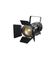 LightCraft Fresnel 300 ZOOM CW+WW
