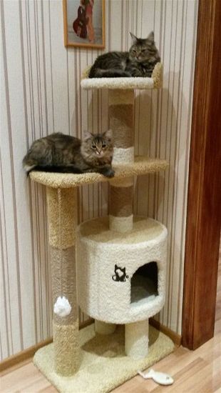 Домик для кота Д-2