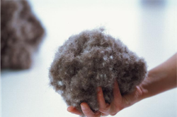 Одеяло всесезонное 200х220 Kauffmann Королева ночи