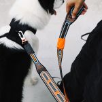 Ультра-легкий поводок Nit CHRON 100 см Zee.Dog