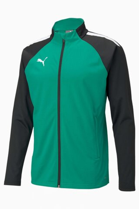 Кофта Puma teamLIGA Training