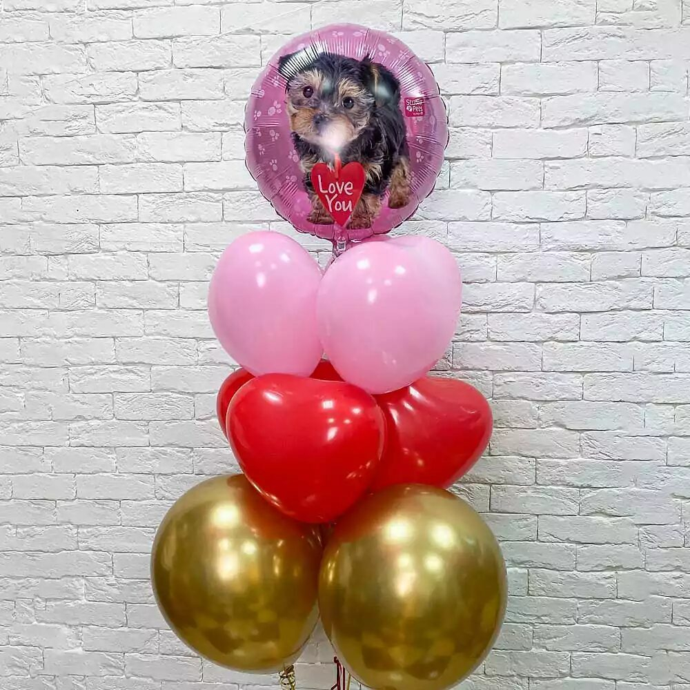 Композиция из воздушных шаров, Собачка и сердце