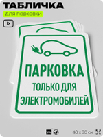 Табличка для парковки "Парковка только для электромобилей", для дома, офиса, организаций, 40х30 см, Silver Plane x Айдентика Технолоджи