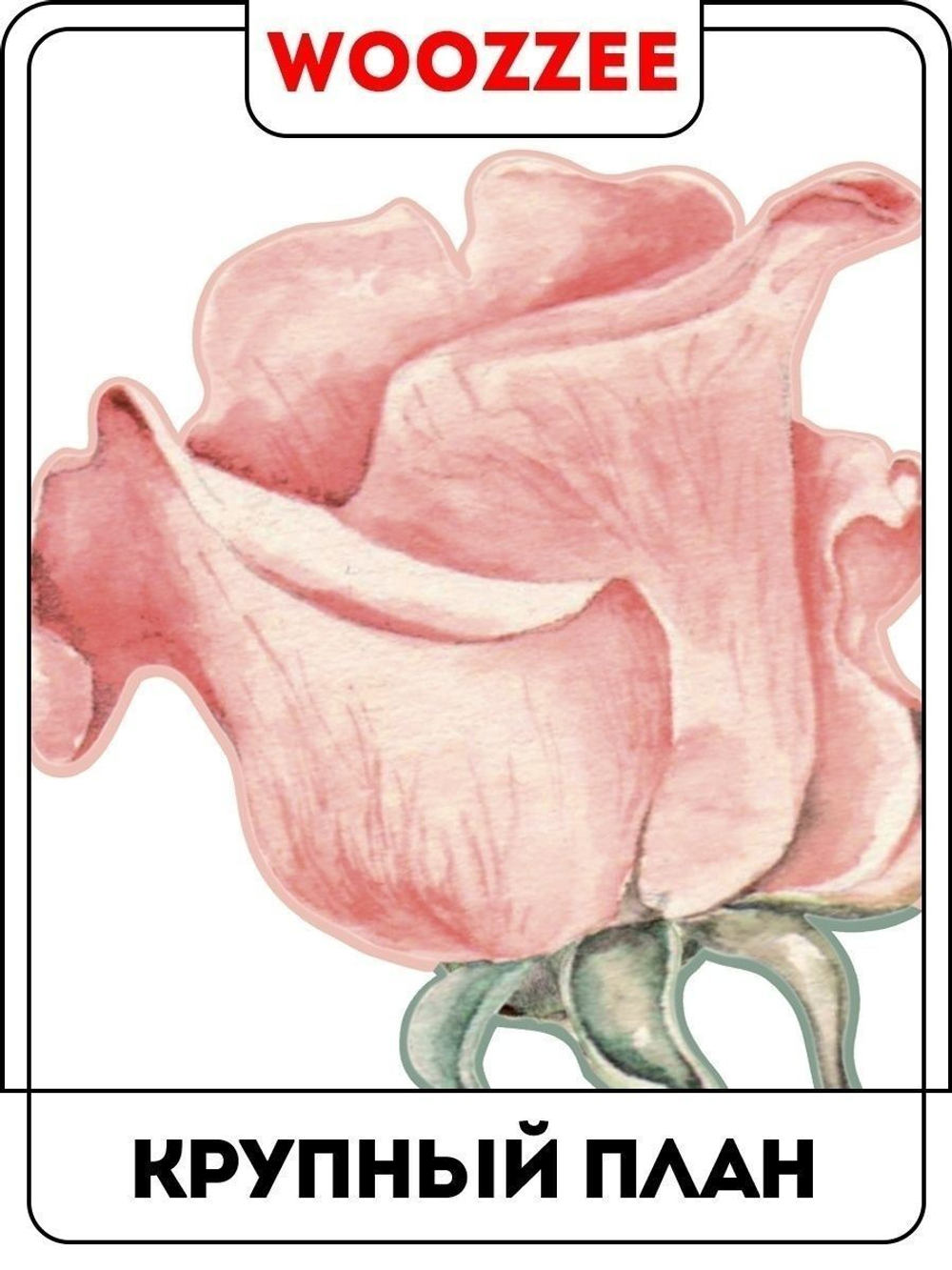 Наклейка декоративная "Розовые цветы с бабочками"