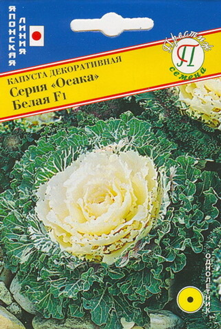 Капуста декор Осака Белая Престиж