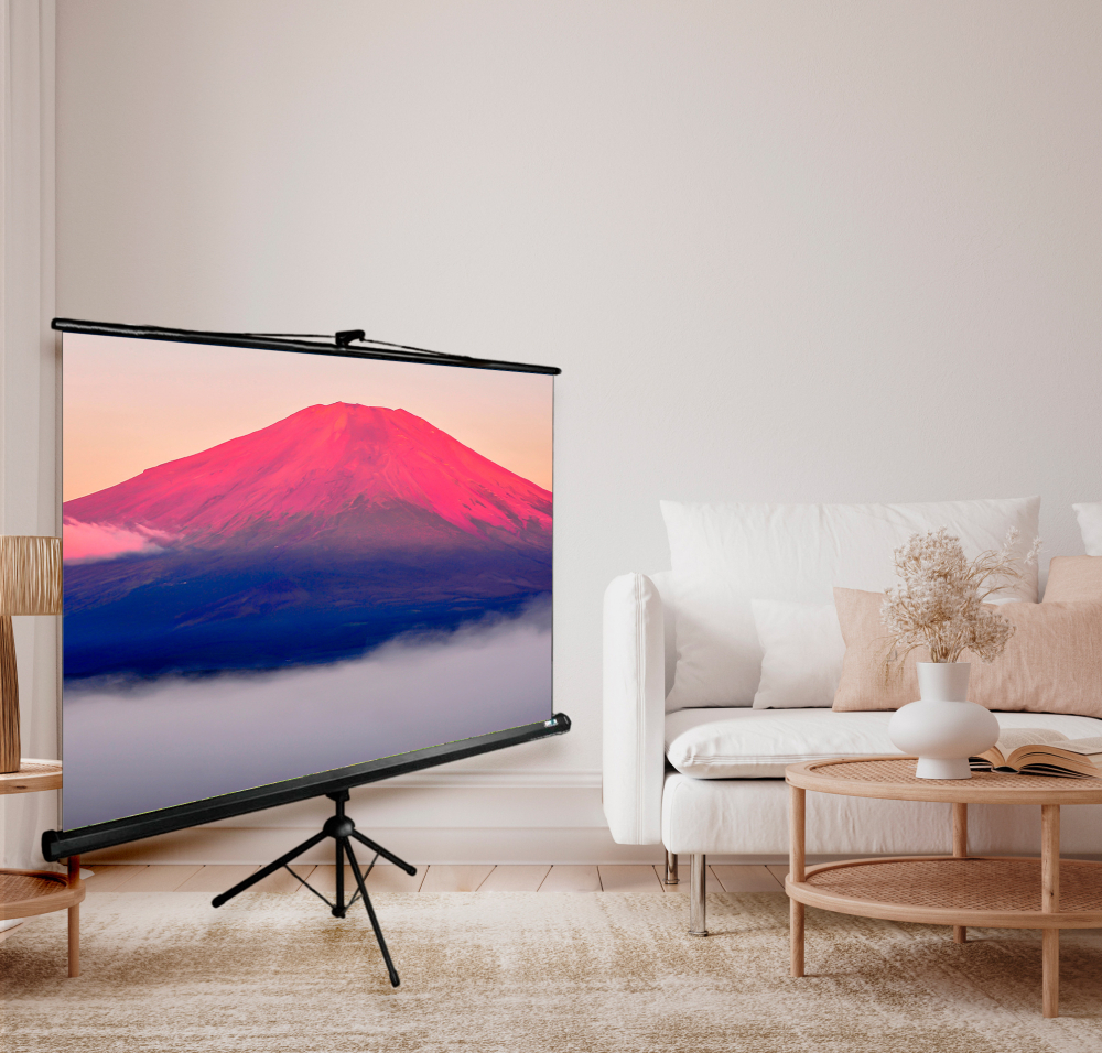 Экран  Cactus CS-PSTE-200X150-BK