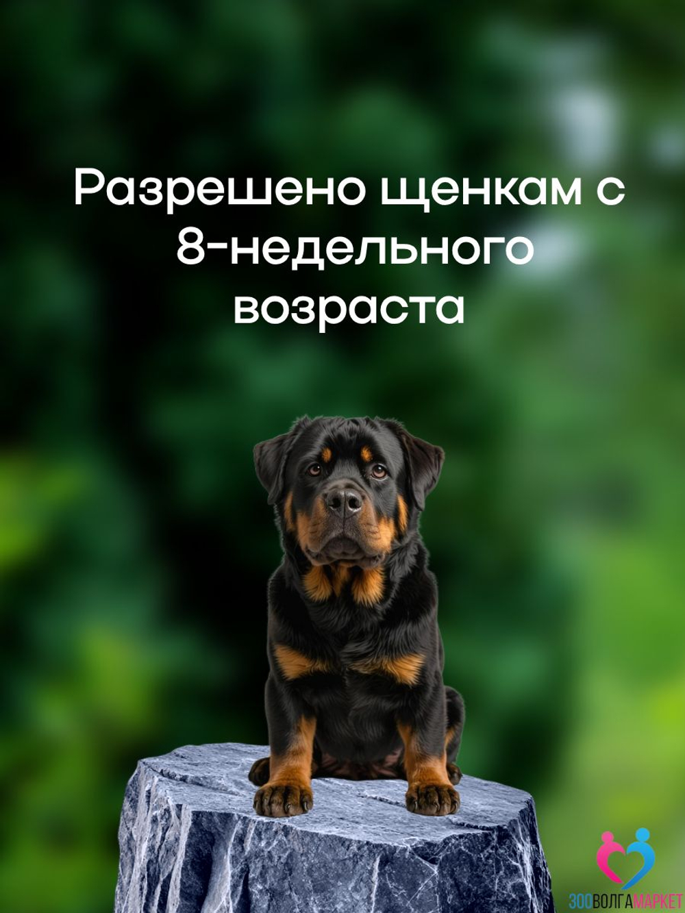 Бравекто (Bravecto) 1000 мг жевательная таблетка для собак весом 20-40 кг, против блох и клещей