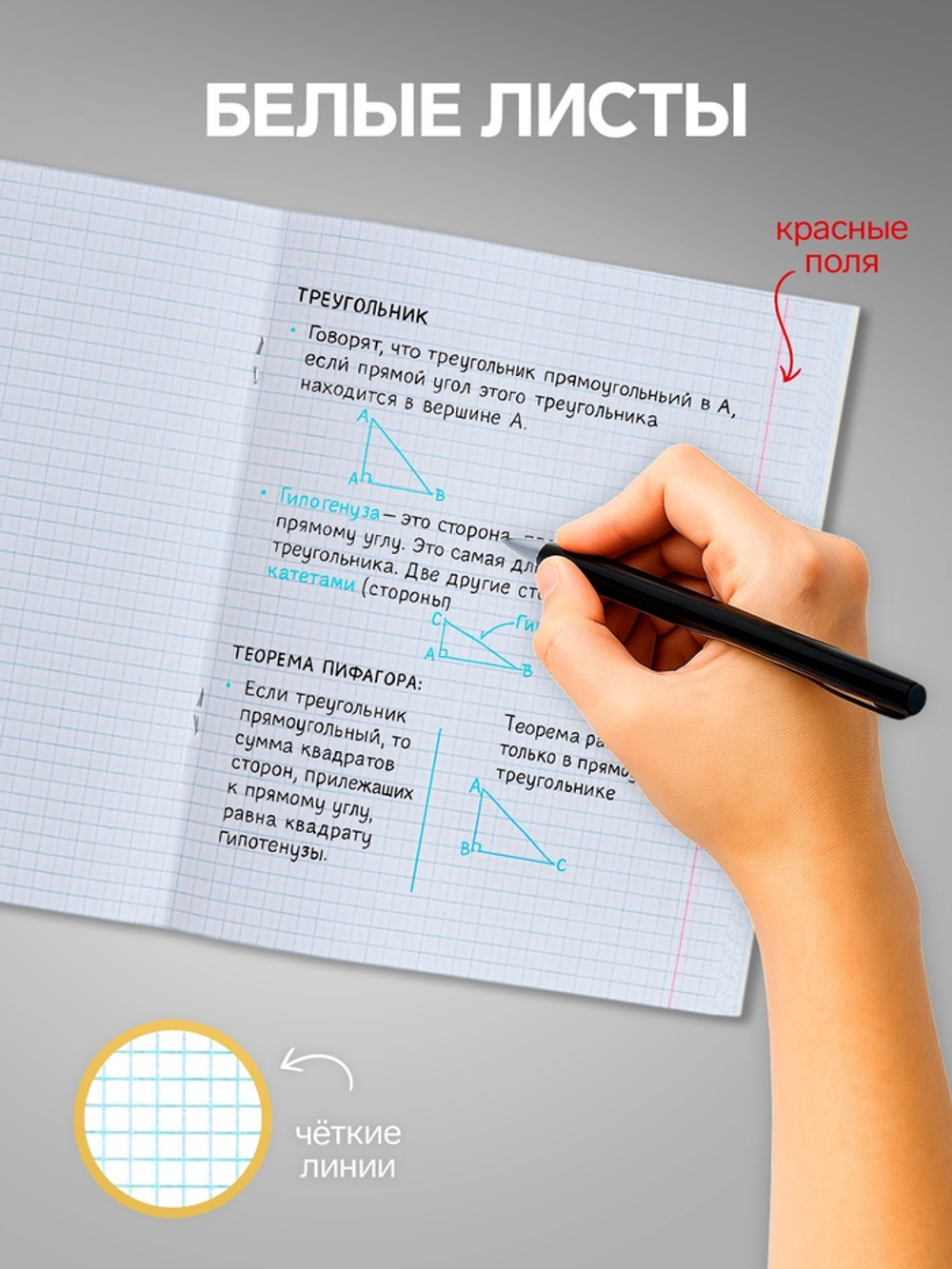 Тетради 10 штук, 24 листа в клетку Calligrata «Тачки», обложка мелованный картон, ВД-лак, блок офсет, 5 видов по 2 штуки