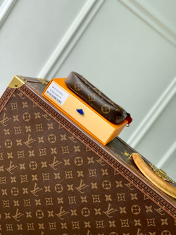 Louis Vuitton Mini Pochette Accessoires