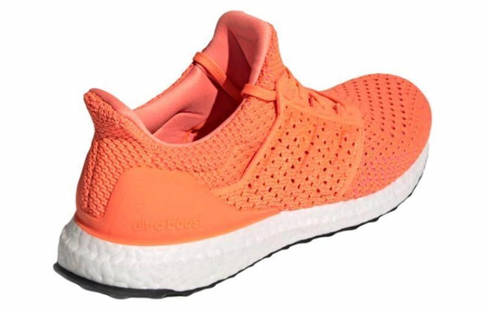 Кроссовки Adidas Ultraboost Clima Dna