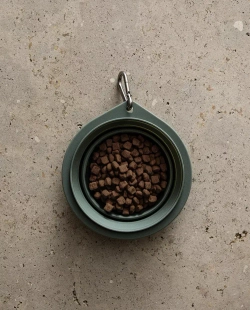 ZARA HOME СИЛИКОНОВАЯ МИСКА ДЛЯ КОРМА ДЛЯ ДОМАШНИХ ЖИВОТНЫХ, ЗЕЛЕНЫЙ