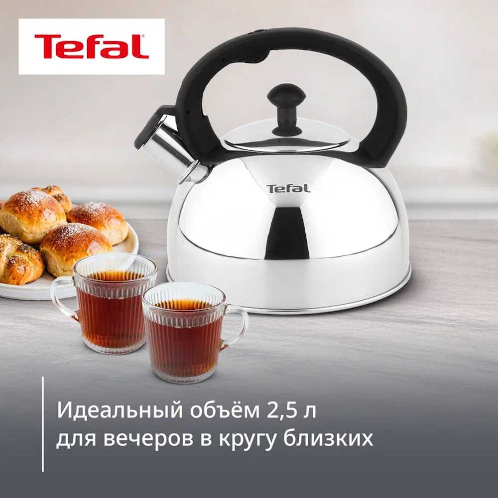 Чайник для плиты Tefal Wave 2.5 л N4210217